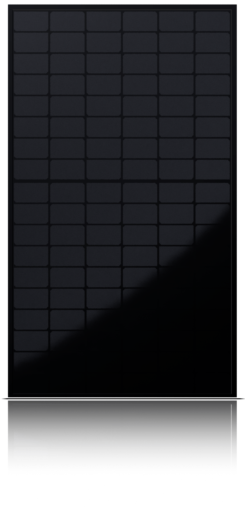 Jinko Tiger Neo solar panel